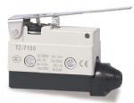 TZ Micro switch